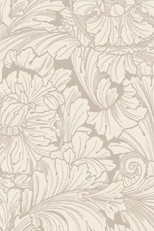 Jusqu'à Épuisement Des Stocks Papier peint Acanthus