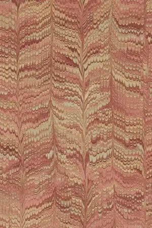 Expédié Aujourd'hui Papier peint Jaipur Plain