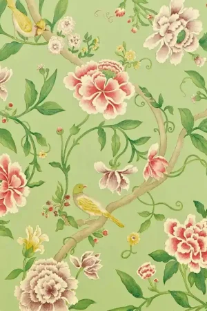 Papier peint Porcelain Garden Offre Du Jour