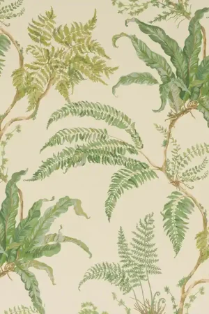 Prix Cassé Papier peint Woodfern