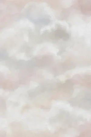 Papier peint panoramique Clouds Prix Bas