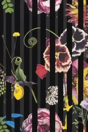Nouvelle Collection Papier Peint Babylonia Nights Soft
