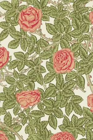 Papier peint Rambling Rose Offre Limitée