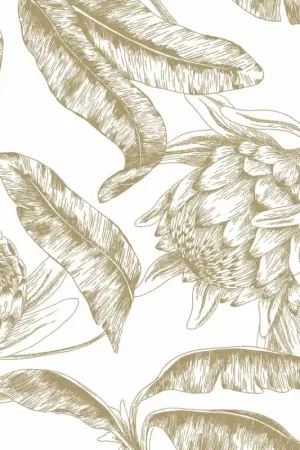 Papier peint Protea Top Vente