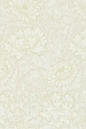 Papier peint Chrysanthemum Offre Du Jour
