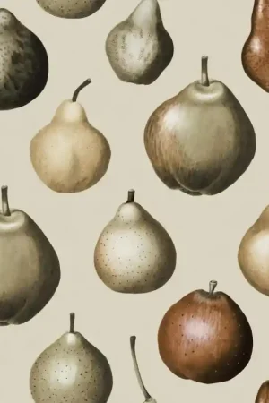 Papier peint panoramique Vintage Pear Expédié Aujourd'hui