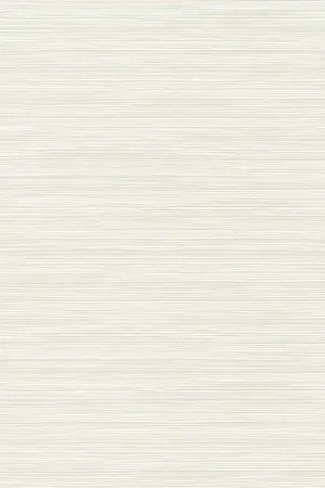 Papier peint Textures Raphia Prix Choc