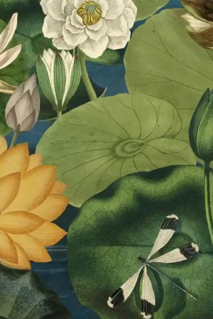 Expédition Rapide Papier peint panoramique Lotus Blossom