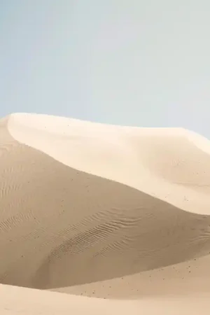 Papier peint panoramique Dunes Retour Gratuit
