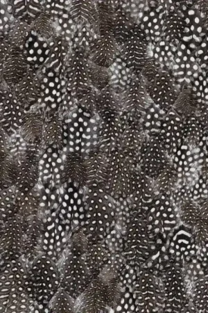 Papier peint panoramique Plumes Pointillisme Populaire