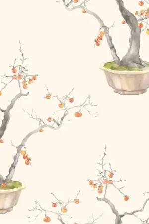 Marque Papier peint Kaki Persimmon