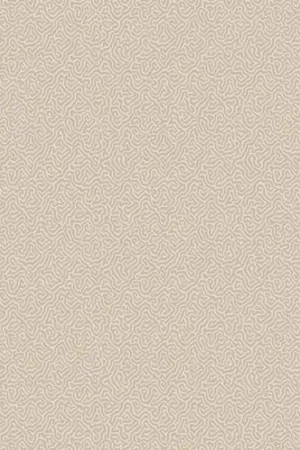 Livraison Express Papier peint Coral