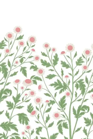 Super Prix Papier peint panoramique Chamomile