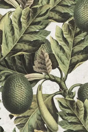 Papier peint panoramique Exotic Fruit I Prix Promo