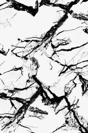 Expédié Aujourd'hui Papier peint Marble