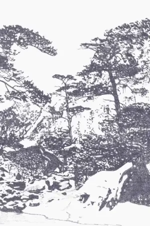 Satisfait Ou Remboursé Papier peint panoramique Ginkesai