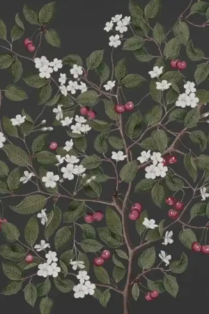 Papier peint panoramique Cherries Satisfait Ou Remboursé