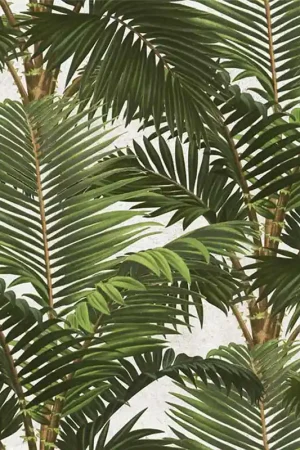 Papier peint panoramique Jardin Tropical Nouvelle Collection