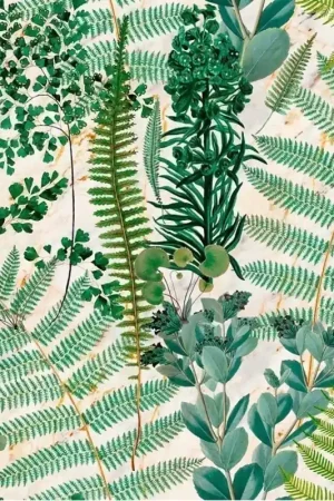 Papier peint panoramique Green Sanctuary Top Vente