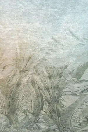 Affaire À Saisir Papier peint panoramique Givre