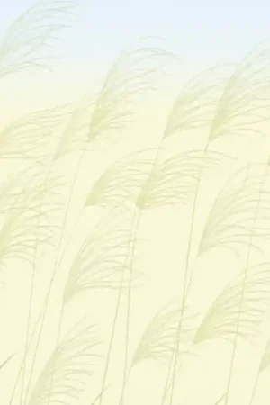 Usine Directe Papier peint panoramique Miscanthus