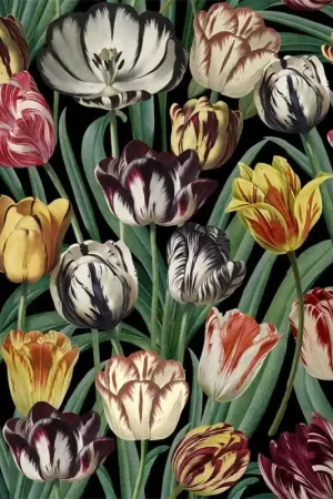 Papier peint panoramique Tulipa Meilleur Choix