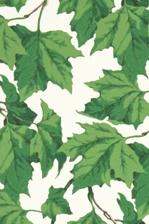 Papier peint Dappled Leaf Expédition Rapide