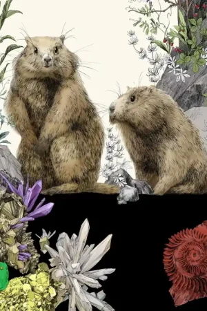 Papier peint panoramique Marmottes Gauche Usine Directe
