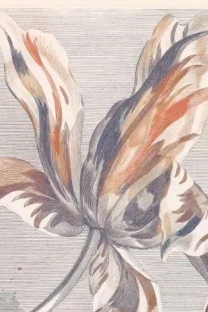 Achetez Aujourd'hui Papier peint panoramique Tulip Teyler - Masterpiece