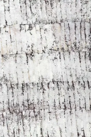 Promotion Saisonnière Papier peint panoramique Écorce