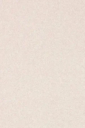 Papier peint Sessile Plain Dernier Modèle