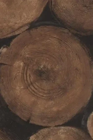 Nouvel Arrivage Papier peint Lumberjack