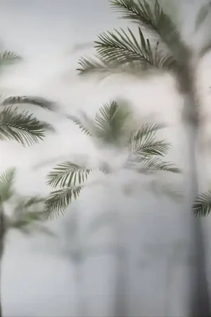 Papier peint panoramique Oasis dans la Brume Super Prix