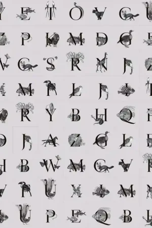 Papier peint panoramique Animal Codex Dernière Chance