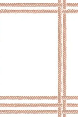 Papier peint Tressage Offre Limitée
