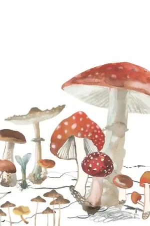 Bon Plan Papier peint panoramique Woods of Wonder