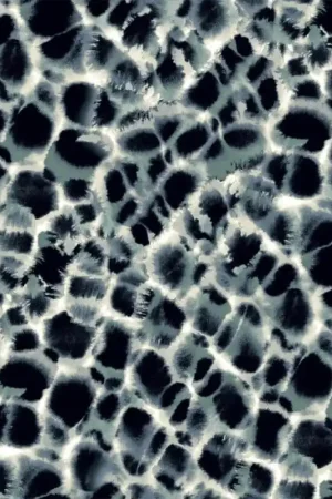 Papier peint Leopard Rosettes Achetez Aujourd'hui