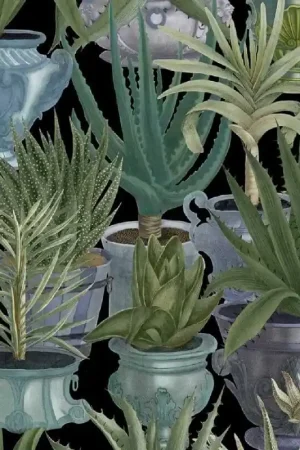 Papier peint panoramique Echeveria Dernier Modèle