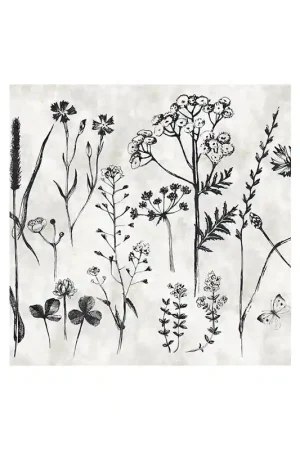 Petit Prix Papier peint panoramique Sketchpad 1