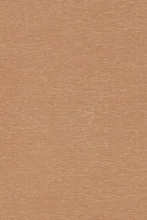 Papier peint Arcus Meilleur Choix