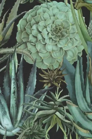 Papier peint panoramique Succulentus Prix Cassé