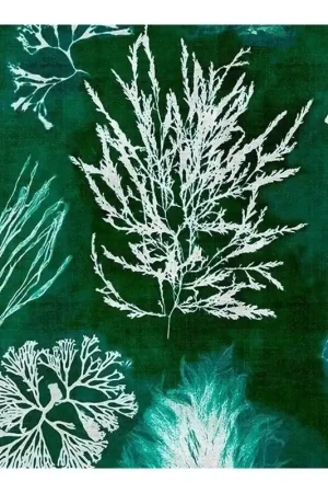 Papier peint panoramique Algae Prix Réduit