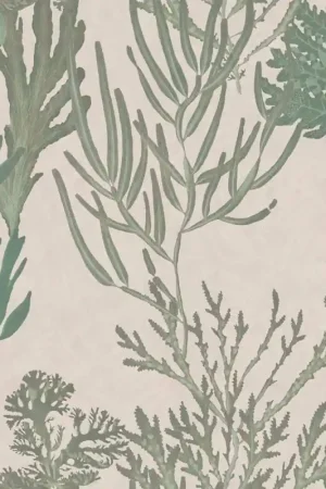 Retour Gratuit Papier peint panoramique Light Corals