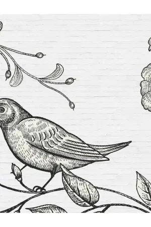 Papier peint panoramique Birdy 3 Remise