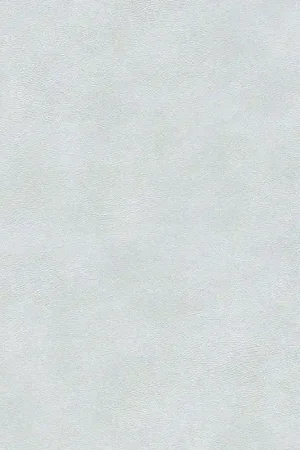 Dernier Modèle Papier peint Fog - Reunited