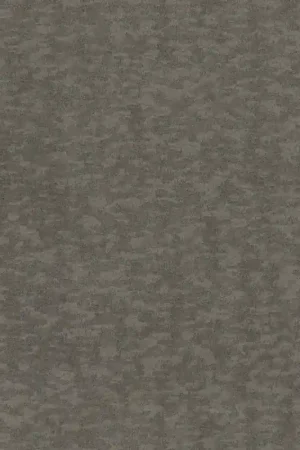 Papier peint Weathered Cypress Offre Spéciale