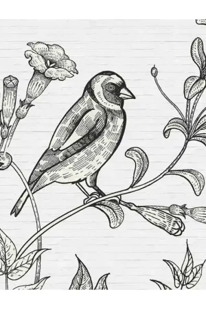 Dernier Modèle Papier peint panoramique Birdy 1