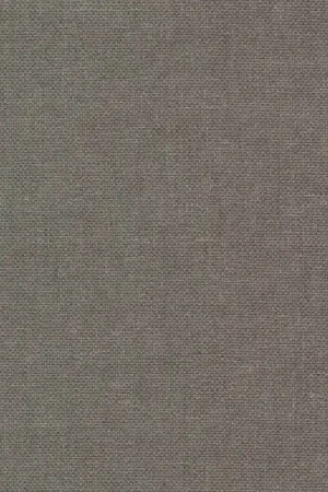 Nouvelle Collection Revêtement mural Epicéa - Natural Wallcoverings II