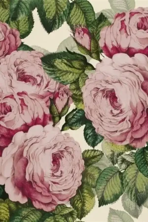 Meilleur Prix Papier Peint The Rose