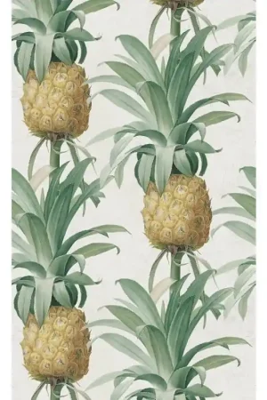 Satisfait Ou Remboursé Papier peint panoramique Ananas